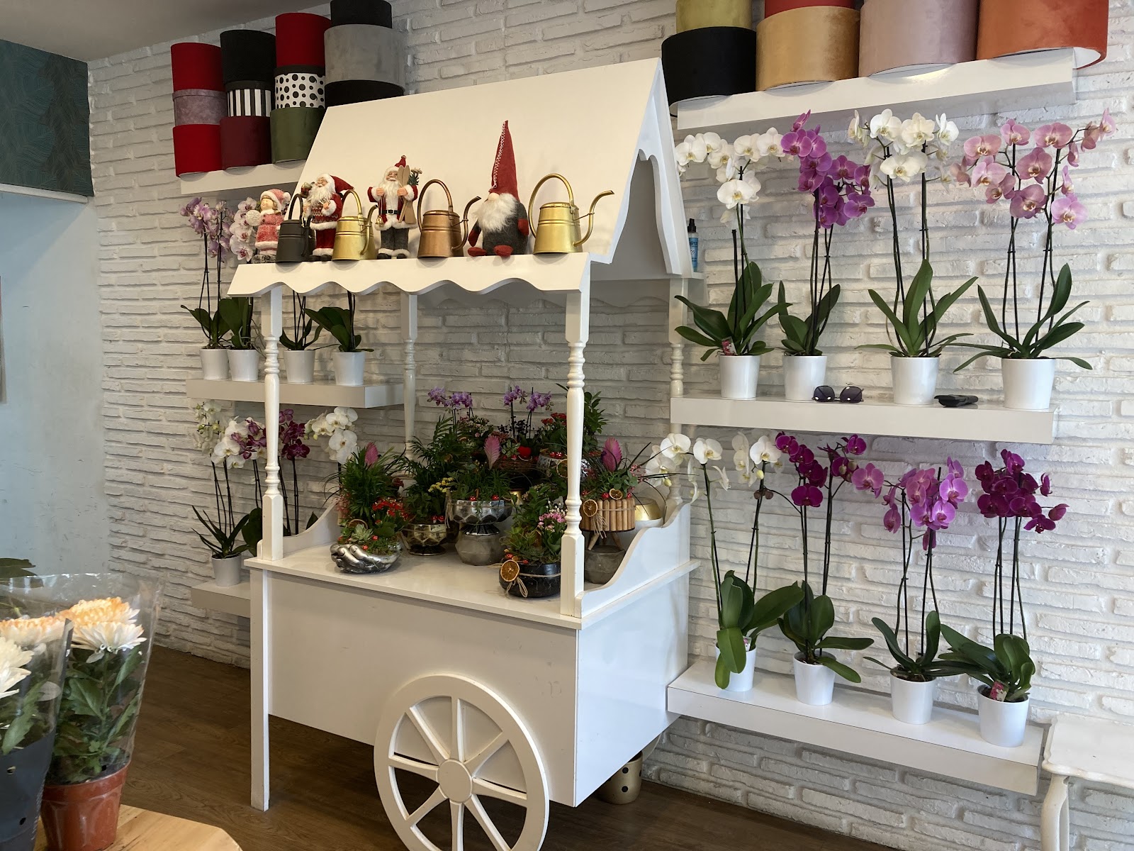 Kırşehir Butik Çiçek