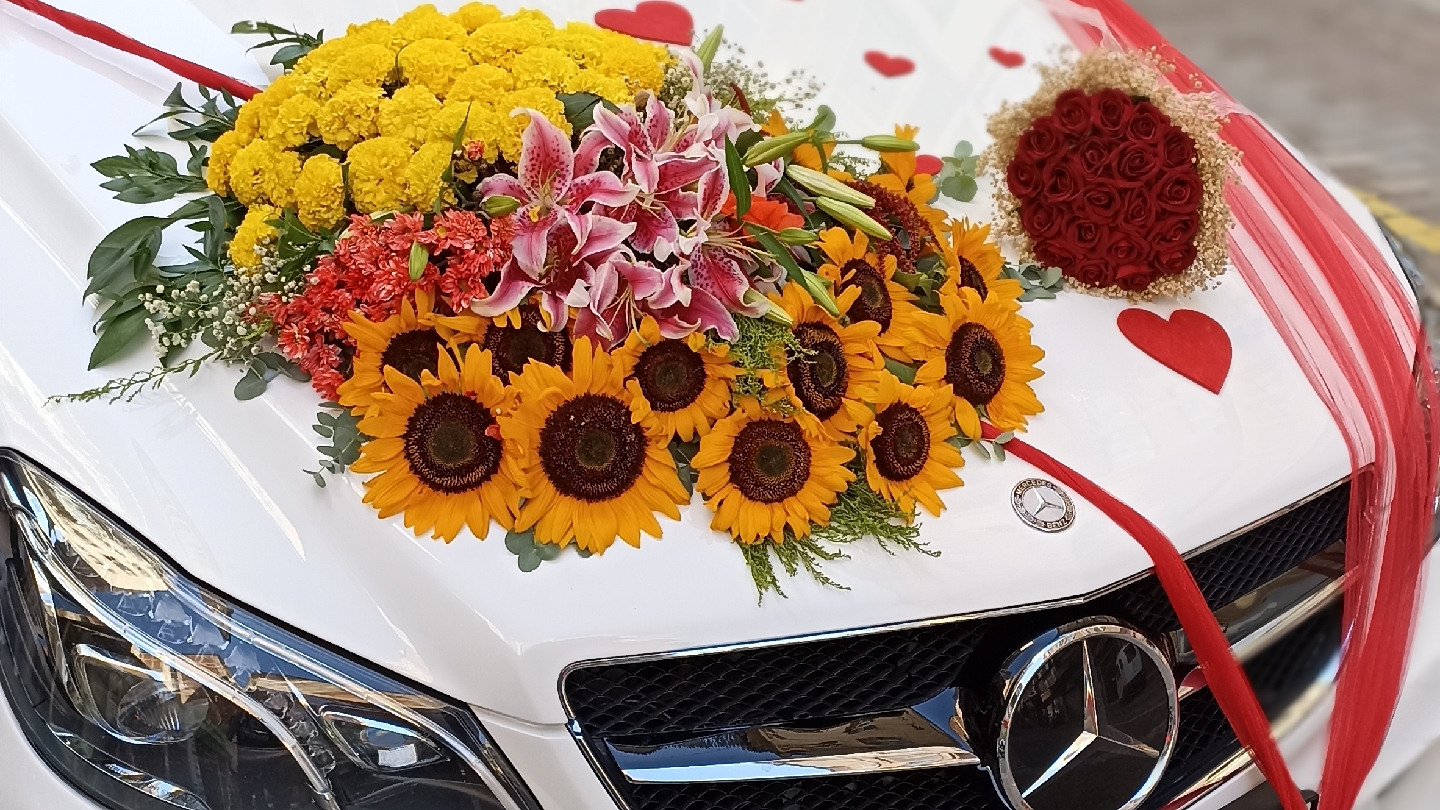 kırşehir karnaval çiçekçilik
