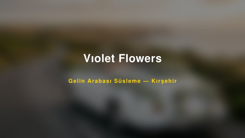 Vıolet Flowers ile Trend Gelin Arabası Yazıları ve Konseptleri